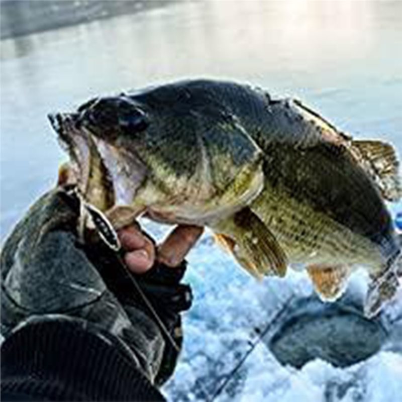 Fishing Boat Depth Finder - Transdutor de Sonda Portátil ABLB para